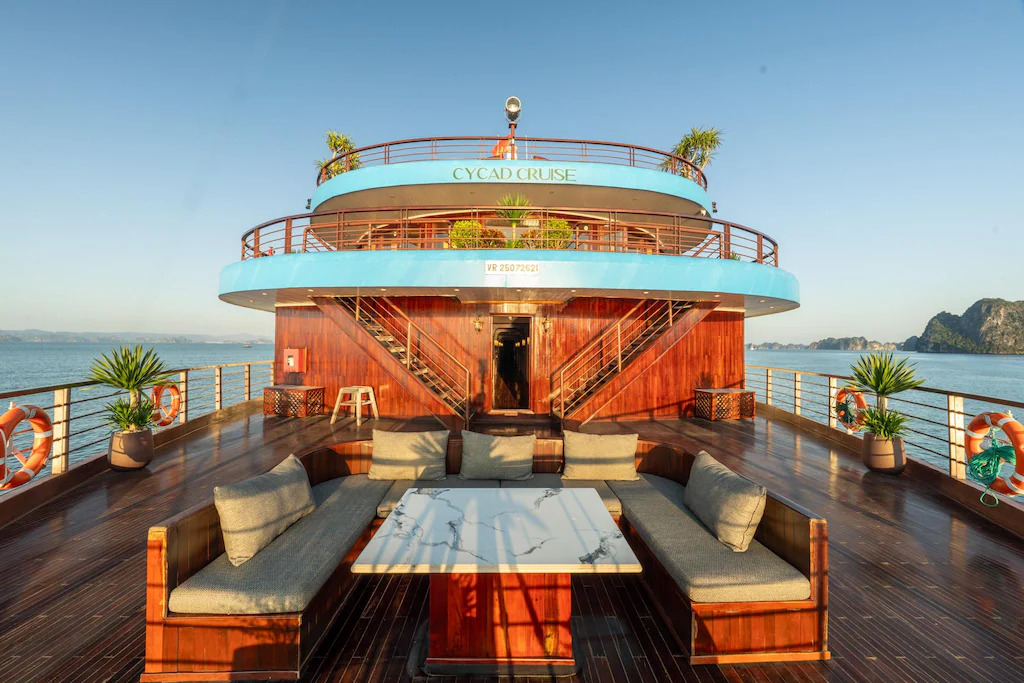 Cycad Cruise