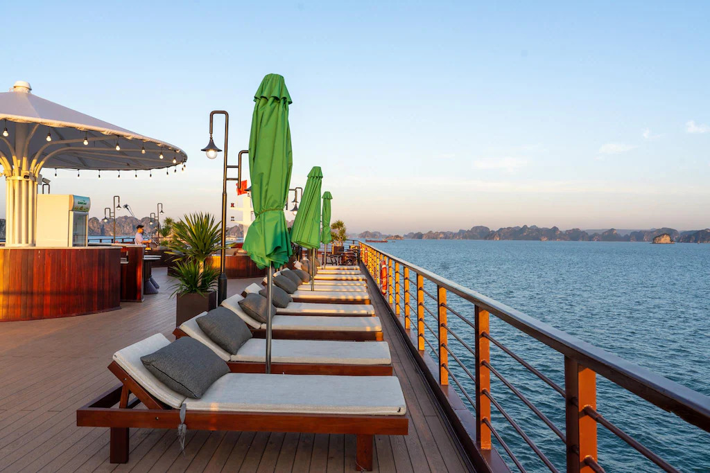 Cycad Cruise