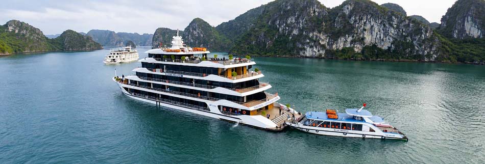 Halora Nova Cruise