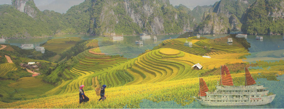 Sapa Halong tours