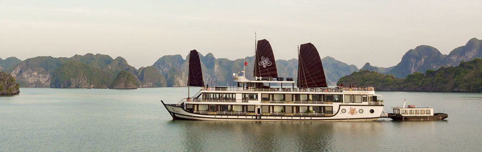 Orchid Trendy Cruise