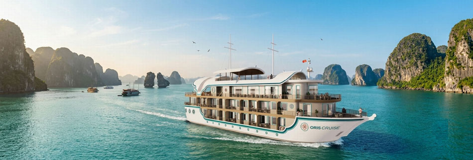 Oris Cruise