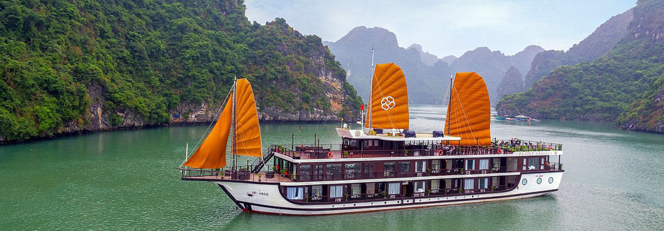 Peony Cruise