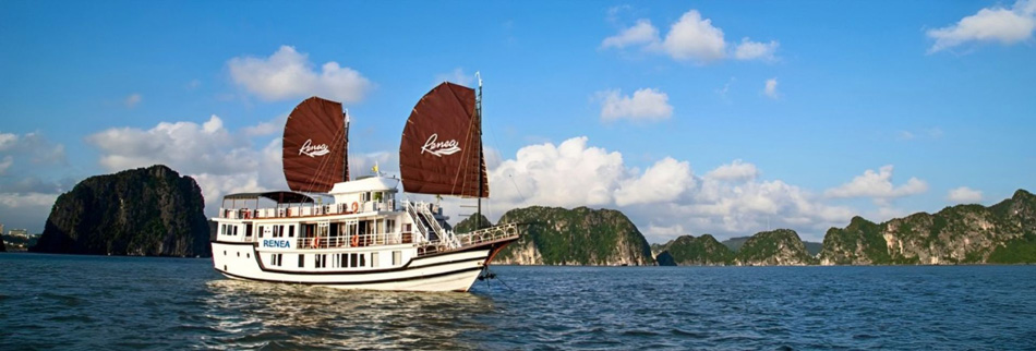 Renea Cruise
