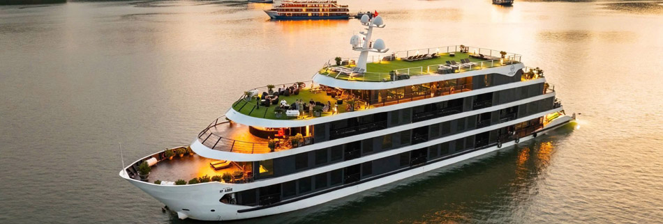 Venus Cruise