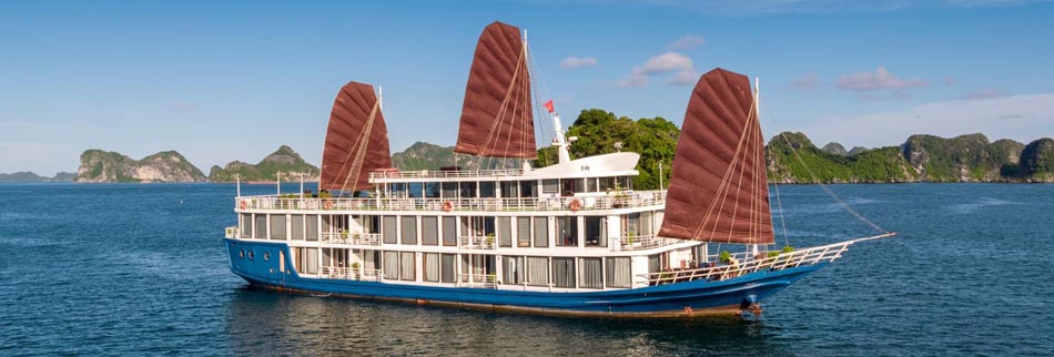 Verdure Lotus Cruise